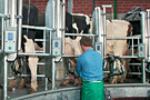 AutoRotor Parlour - click for large image -